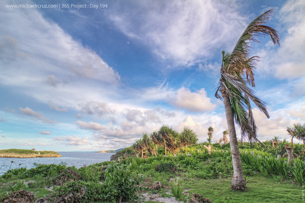 cove_island copy